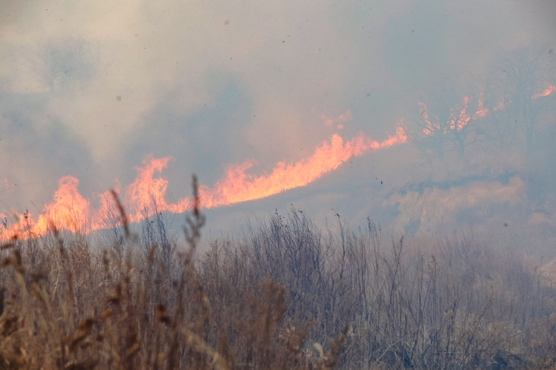 Лесные пожары подошли к 11 населенным пунктам в Якутии