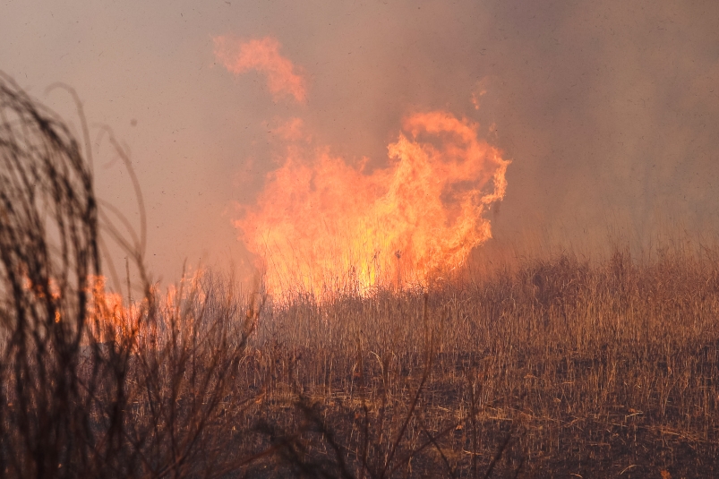 Встречным палом пожарные отстояли от лесного пожара село Сайды Верхоянского района Якутии