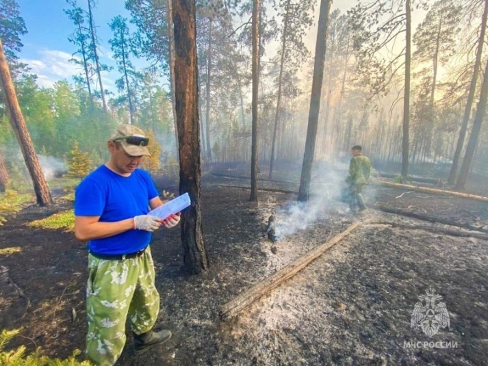 Более 1 млн рублей оплатят нарушители требования пожарной безопасности в лесах Якутии