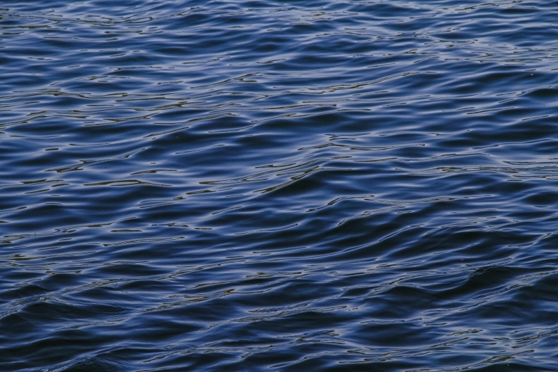 Водолазы ведут поиски утонувшего якутянина