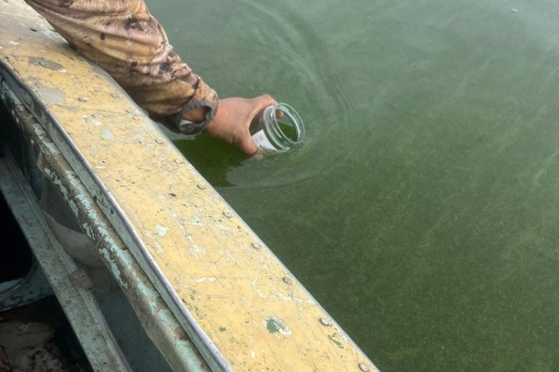 Экологи объяснили причину цвета воды в озере, напугавшего жителей Якутии