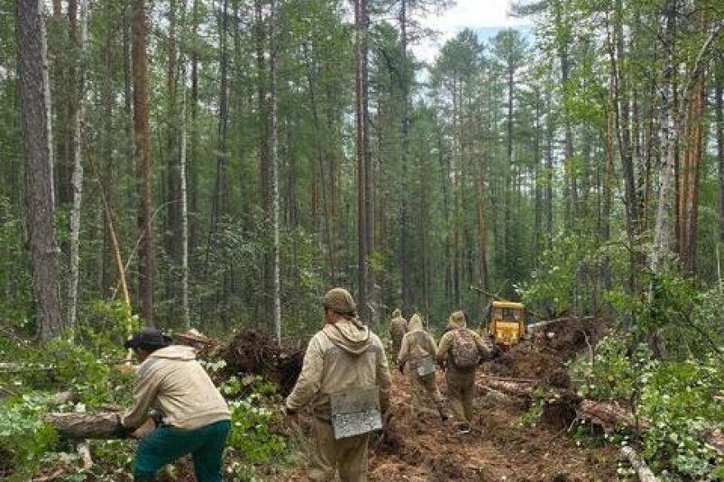 Минэкологии Якутии: в Олекминском заповеднике потушены все лесные пожары