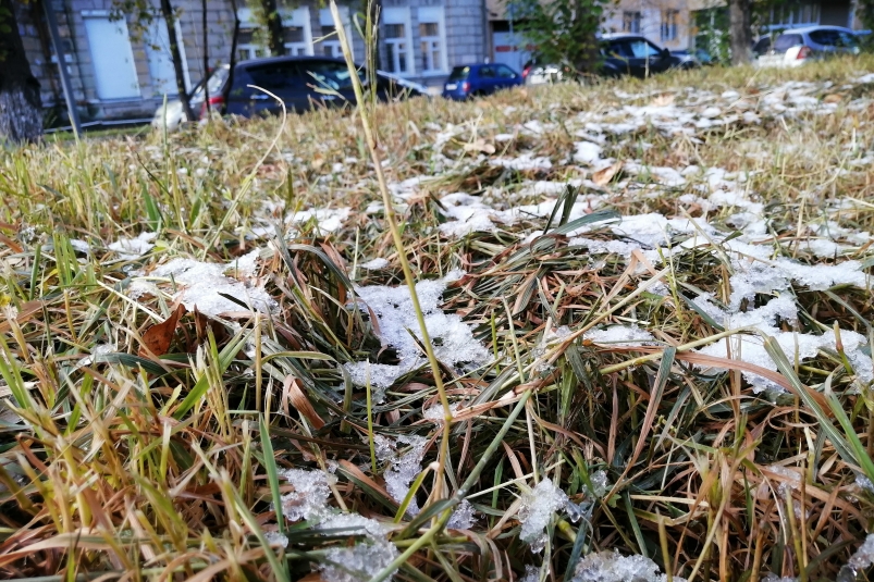 В окрестностях Якутска ожидаются заморозки