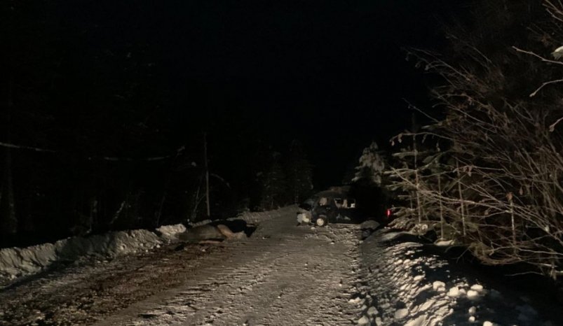 На трассе в Якутии водитель врезался в лошадей