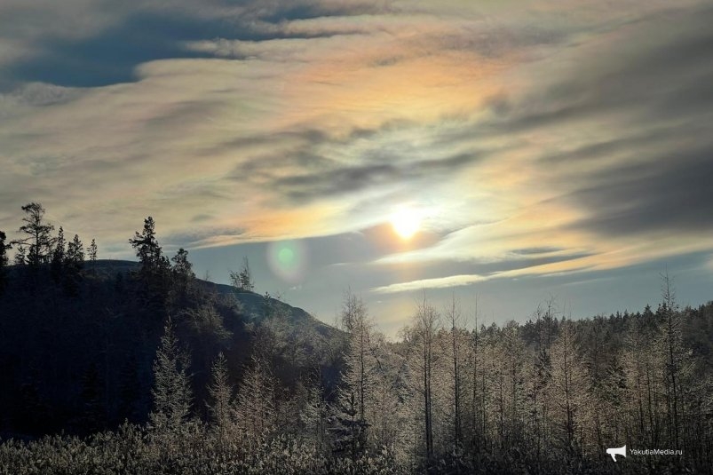 Гороскоп на неделю: Интуиция будет подсказывать верные решения