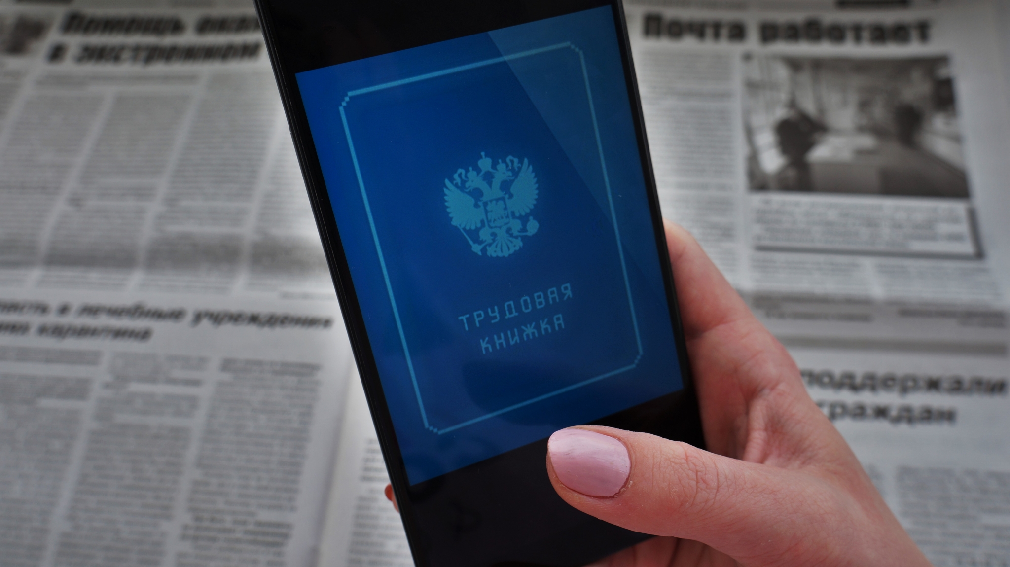 Более 850 тысяч якутян трудоустроено по линии службы занятости за 35 лет  Ольга Брютова, ИА UssurMedia