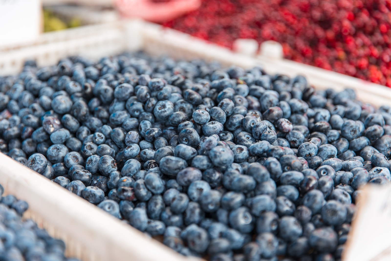 Якутия запустила закупку дикоросов у северных жителей Илья Аверьянов, ИА PrimaMedia