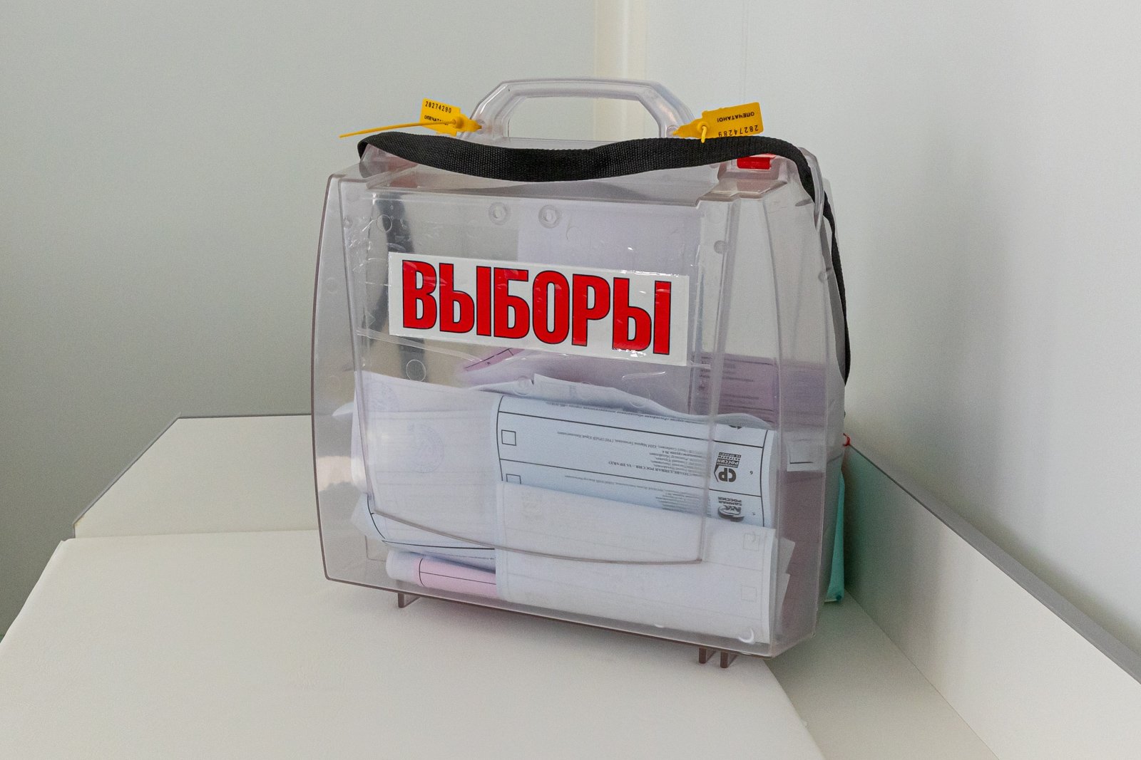 В Якутии заработал Центр общественного наблюдения за выборами в Госдуму Мария Смитюк, ИА PrimaMedia.ru