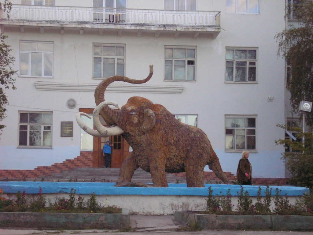 Фото дня