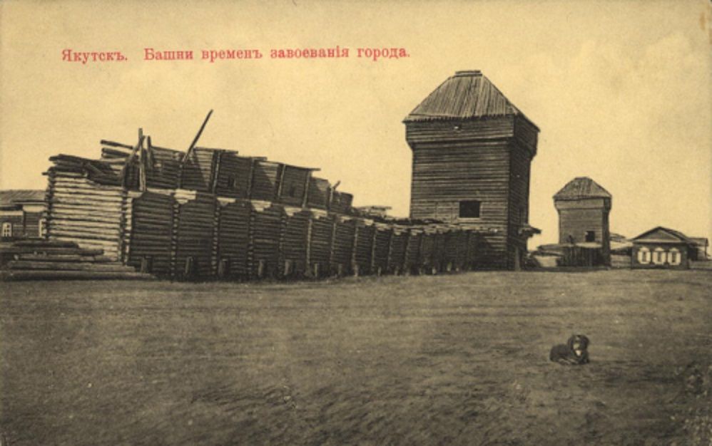Фото дня