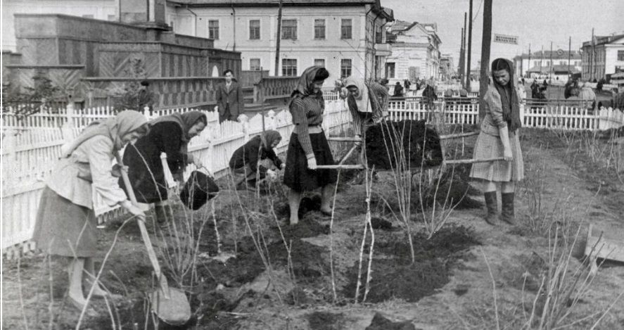 Фото дня