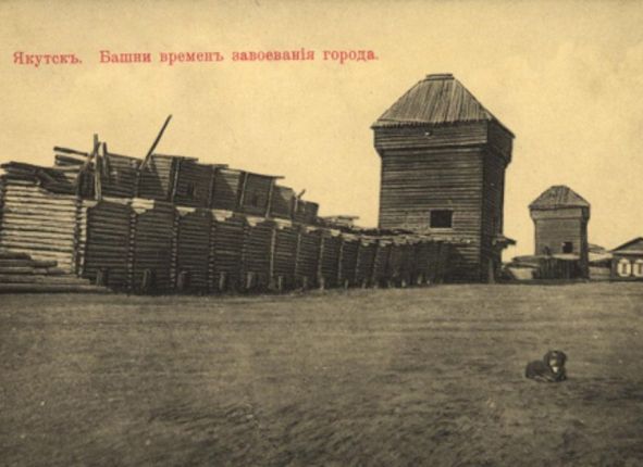 Фото дня