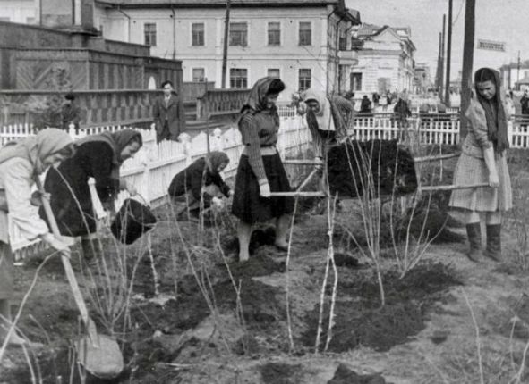 Фото дня
